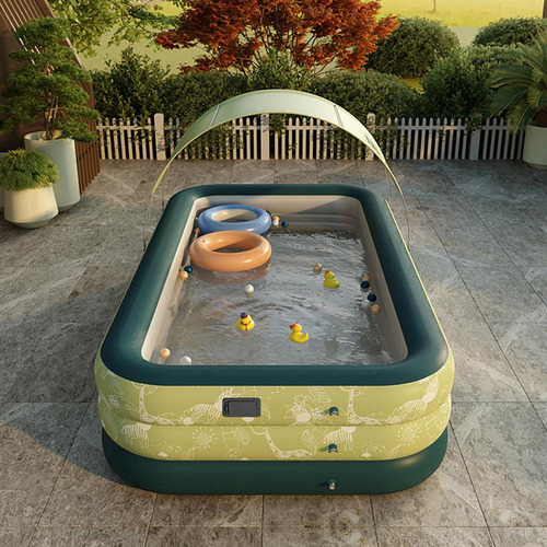 Inflatable Above-Ground Pool with Canopy
