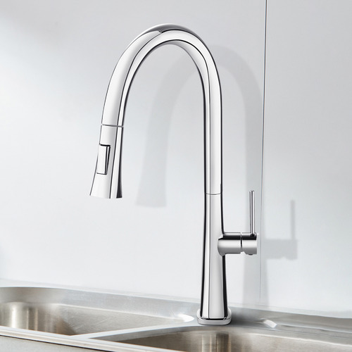Williams Pull-Out Kitchen Mixer Tap