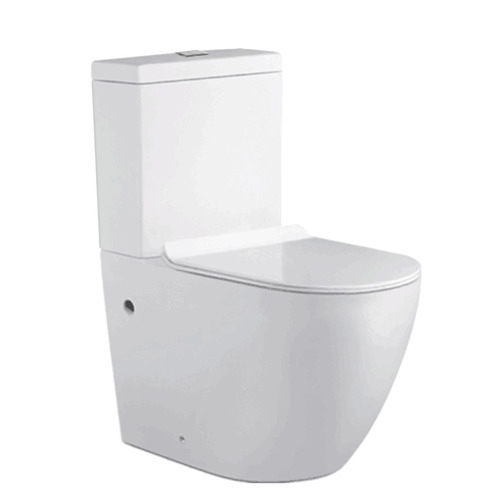 Athens Vitreous China BacktoWall Toilet Suite The Build by Temple & ster