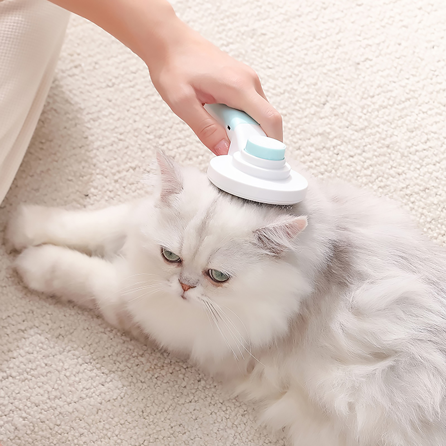 Expert Homewares 2in1 Pet Grooming Tool Temple & ster