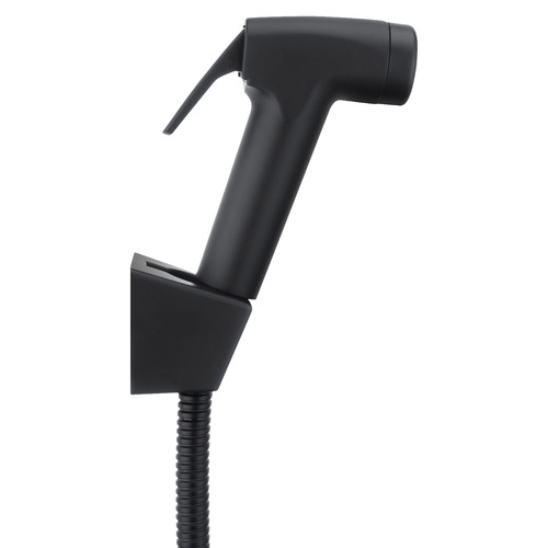 2 Piece Black Toilet Bidet & Hose Set