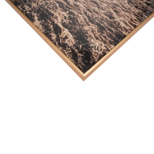 Scottish Highland Cattle Framed Canvas Wall Art