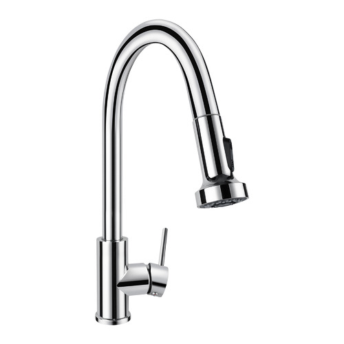 Expert Homewares Rounded Euro PullOut Spray Kitchen Tap The Build by