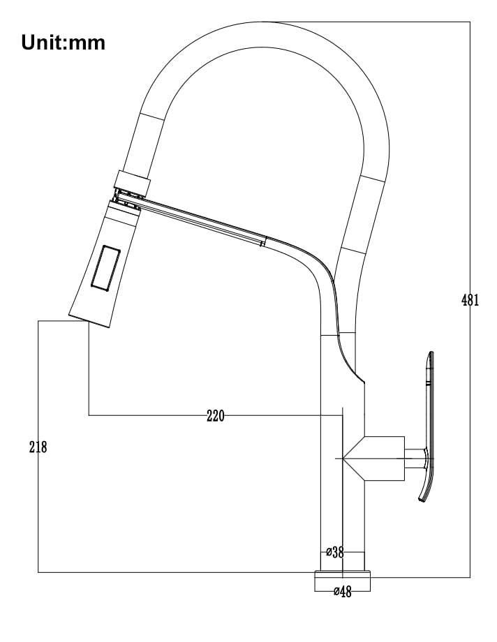 Burch Pull-Down Kitchen Mixer