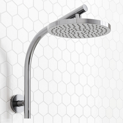 Round Gooseneck Shower Arm & Head
