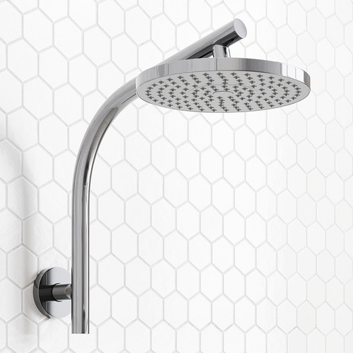 Round Gooseneck Shower Arm & Head