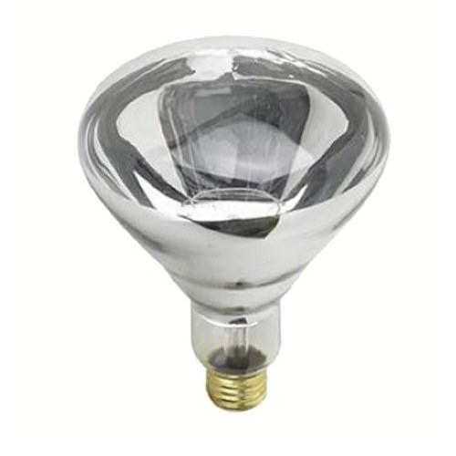 CLA Lighting 240V Heat Bulb Temple & ster