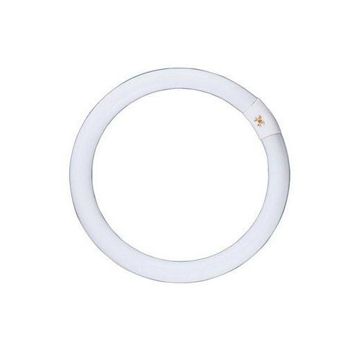 240V T9 32W Circular Fluorescent Bulb 8000 Hours