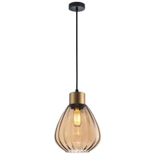 Tulip Glass & Iron Pendant Light