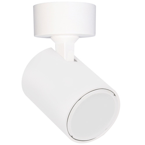 Round Spot Adjustable Spotlight