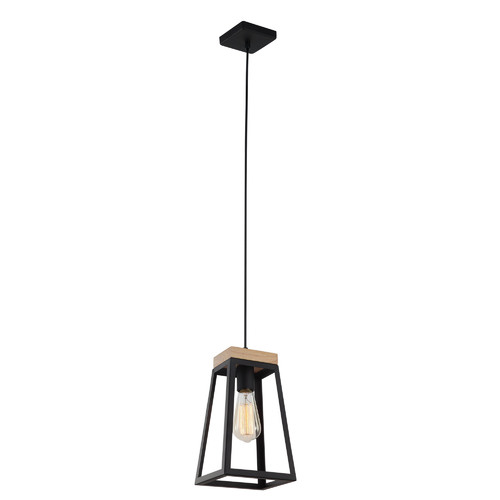 Derwent-Iron-Pendant-Light