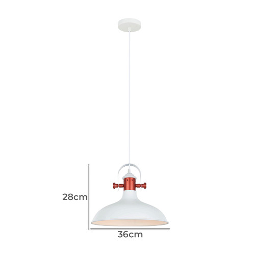 Eamont-1-Light-Metal-Pendant