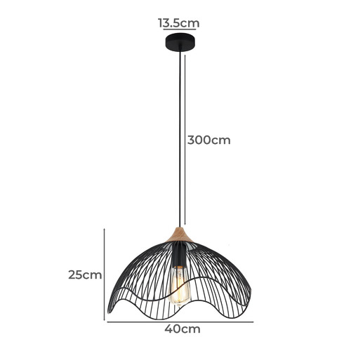 Scandal-Black-Iron-Pendant-Light