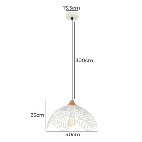 Scandal-Black-Iron-Pendant-Light