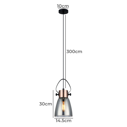 Copper Eden 1 Light Iron & Glass Pendant