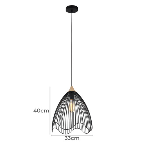 Beck 1 Light Scandal Iron & Wood Pendant