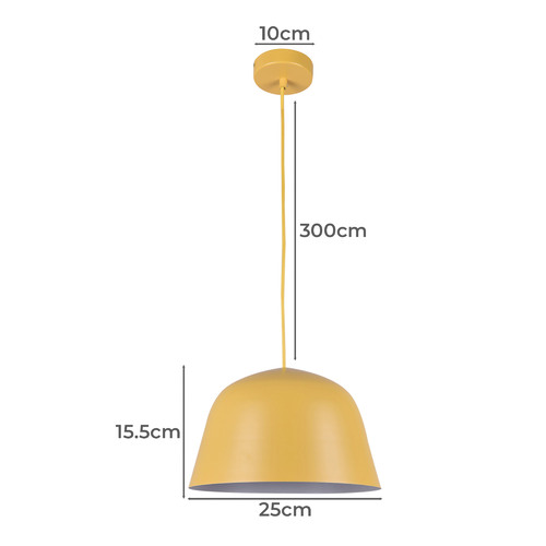 Pastel-Iron-Pendant-Light