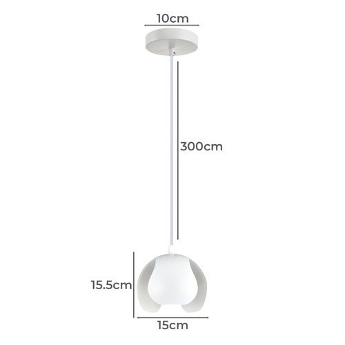 Vaina-Iron-Pendant-Light