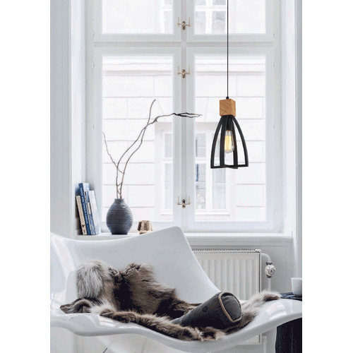 Black Lowther 1 Light Iron Pendant