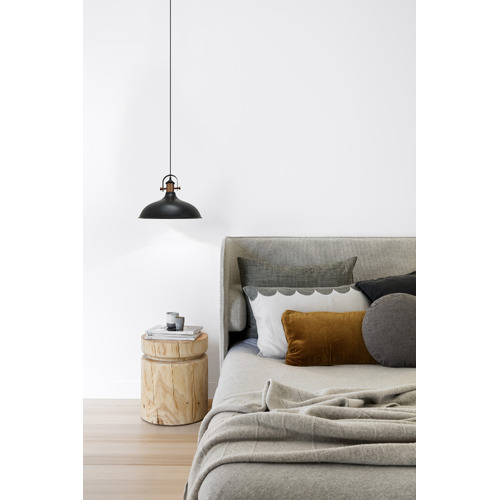 Eamont 1 Light Metal Pendant