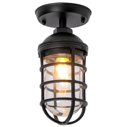 Shaan Outdoor Ceiling Light