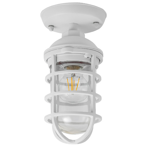 Shaan Outdoor Ceiling Light
