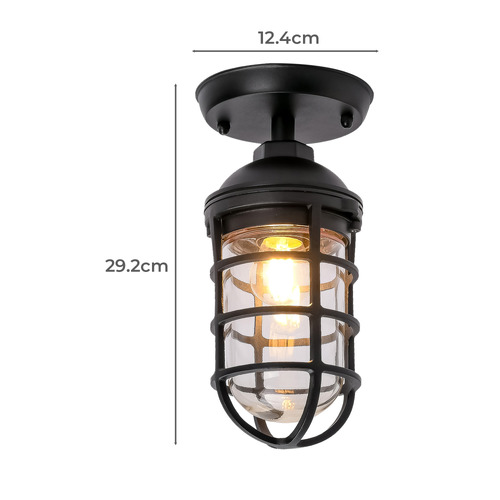 Shaan Outdoor Ceiling Light