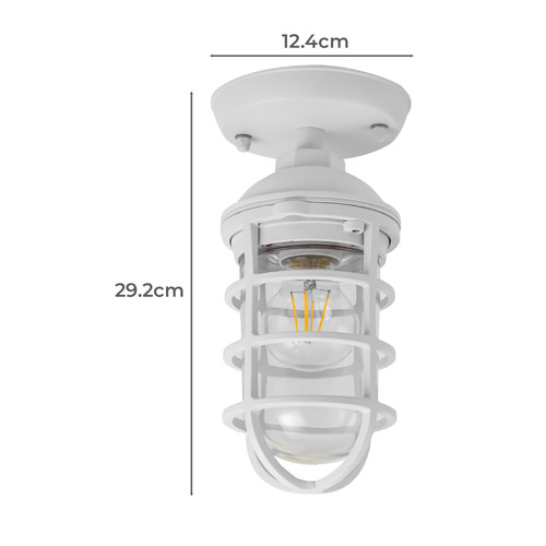 Shaan Outdoor Ceiling Light