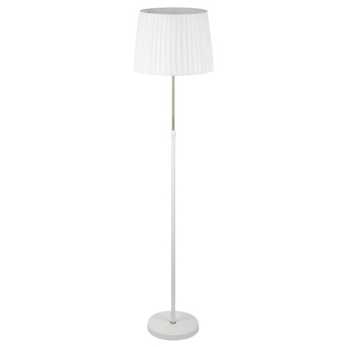 167cm Raidan Adjustable Floor Lamp