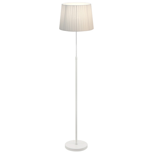 167cm Raidan Adjustable Floor Lamp