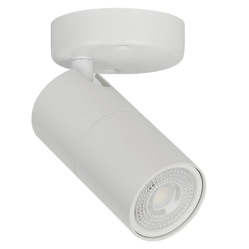 Liora Adjustable Spotlight