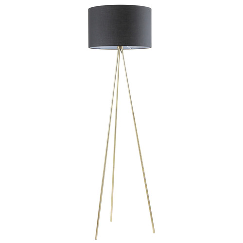 159cm Fawaz Floor Lamp
