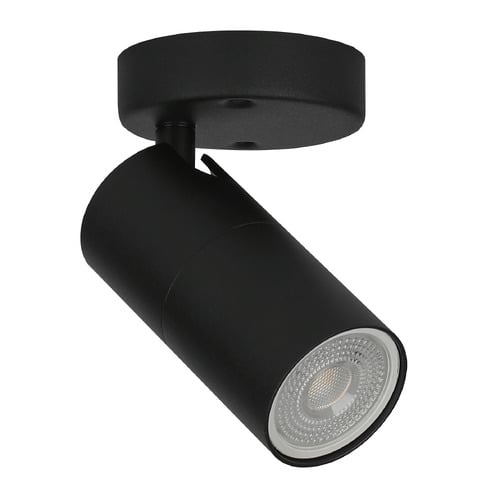Liora Adjustable Spotlight