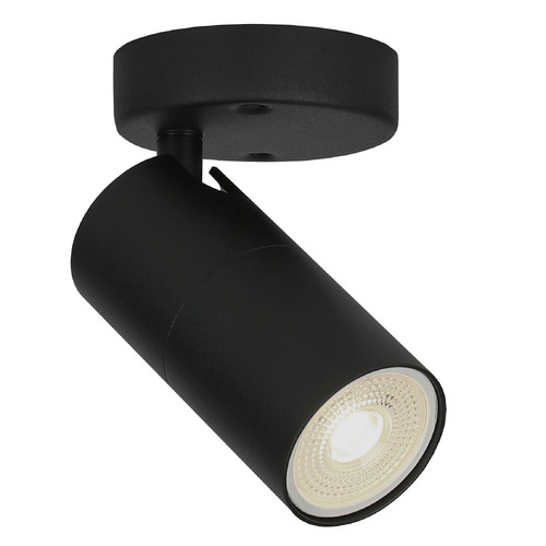 Liora Adjustable Spotlight