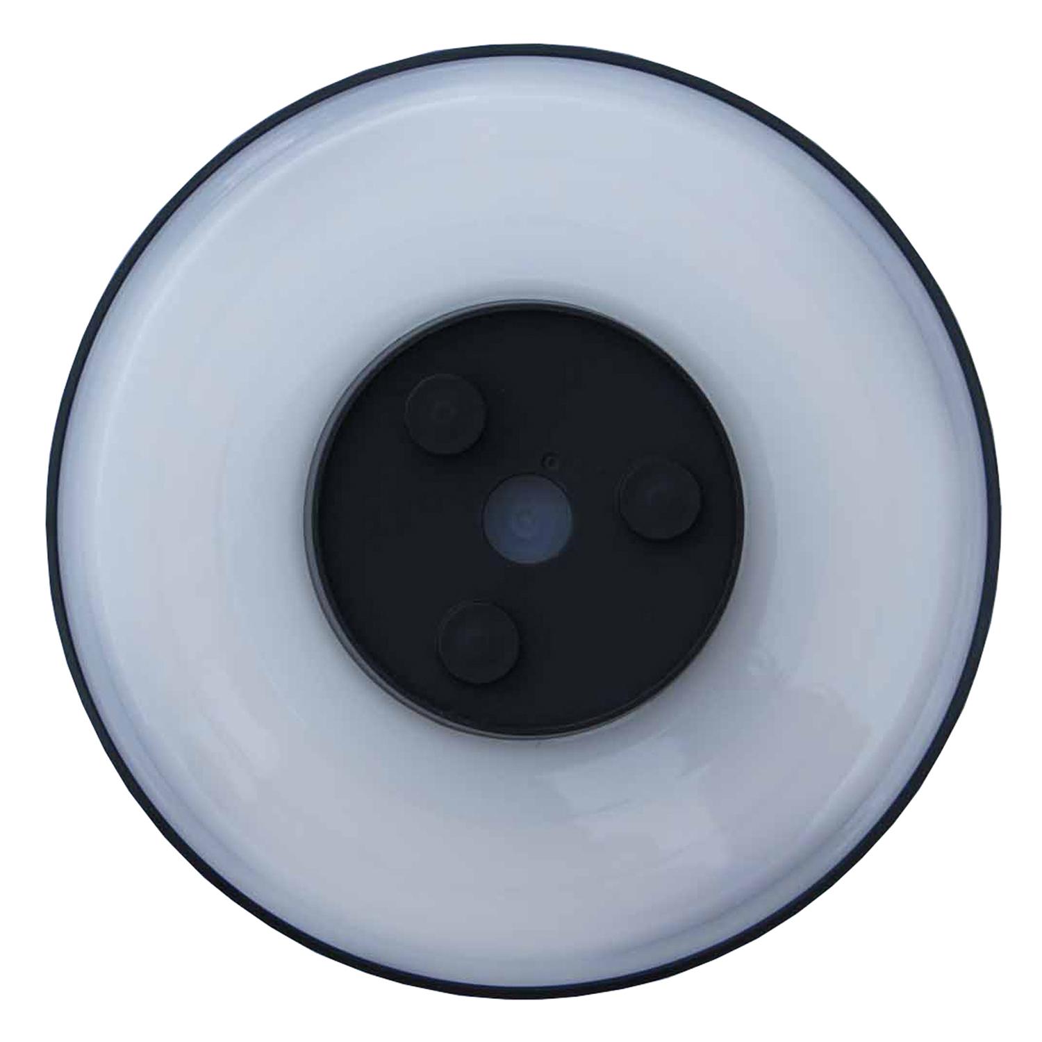 Deryn Outdoor Wall Light