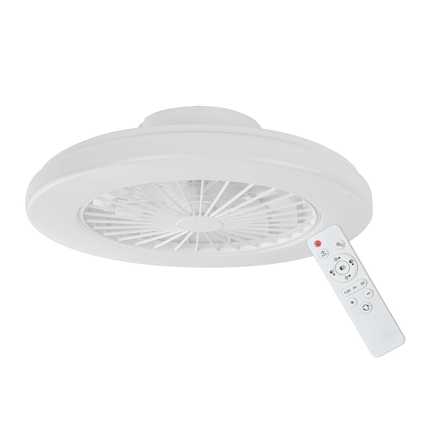 Zelvion Ceiling Fan with Light