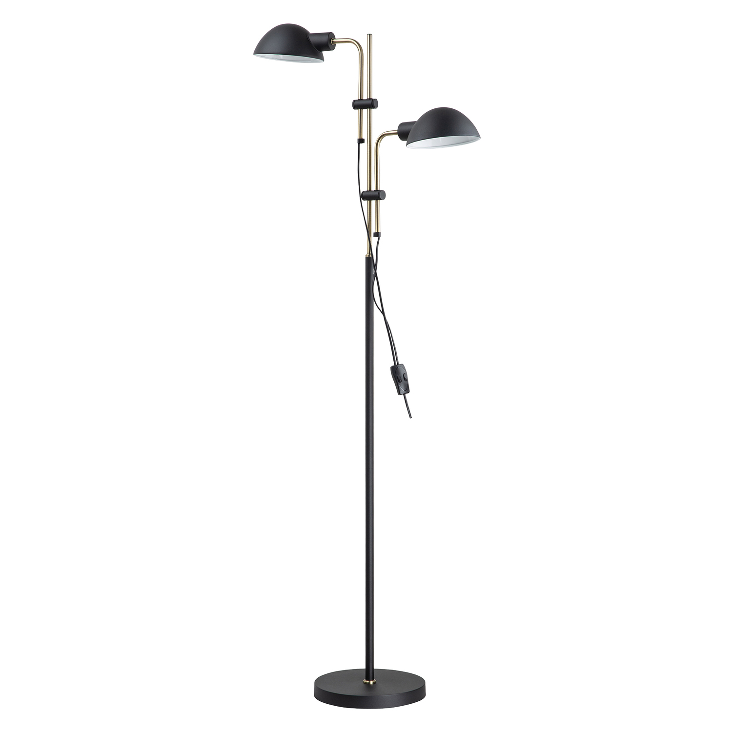 Aeryx 2-Light Floor Lamp