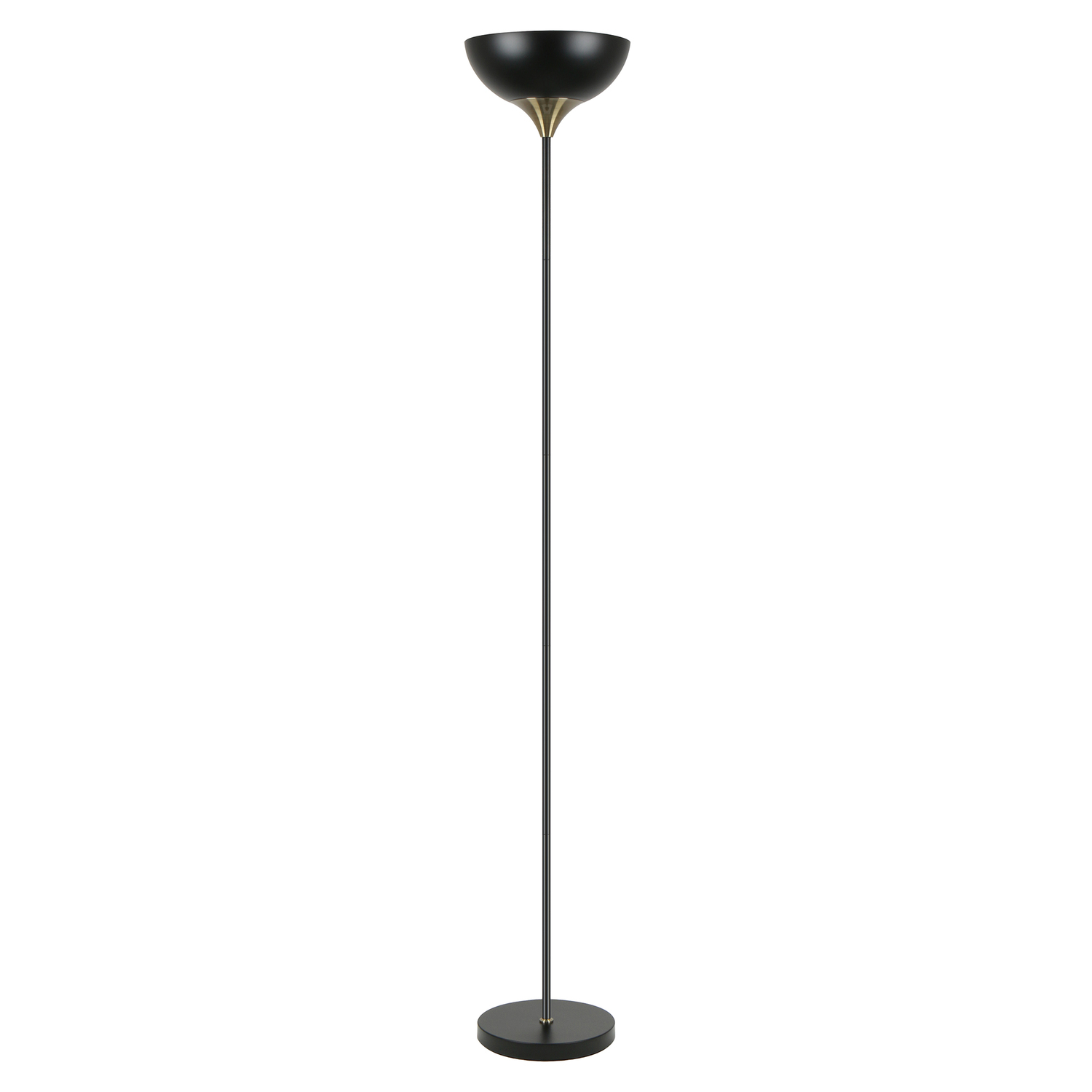 Kyler Iron Floor Lamp
