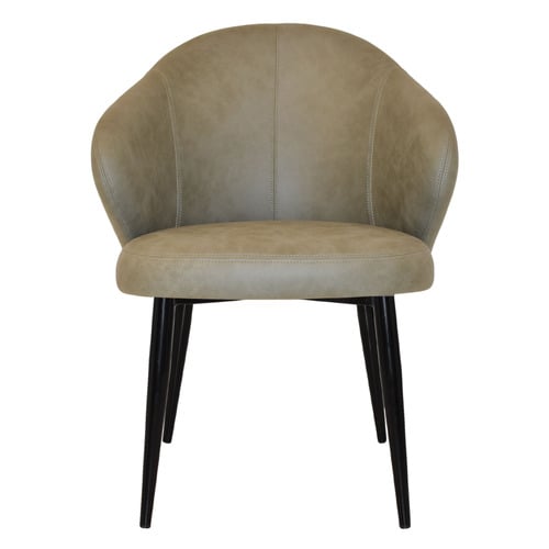 Scranton Upholstered Armchairs