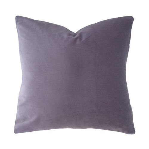 Bambury Cotton Velvet Euro Pillowcase & Reviews Temple & ster