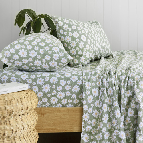 Bambury Daisy Cotton Flannelette Sheet Set Temple & ster