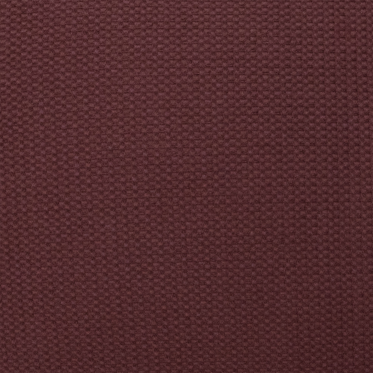 Enfys Washed Cotton Throw