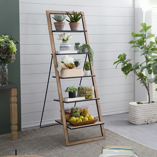 Bemadette 5 Tier Ladder Shelf
