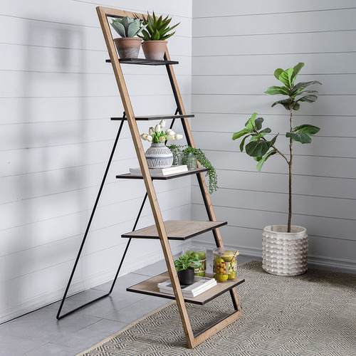 Bemadette 5 Tier Ladder Shelf