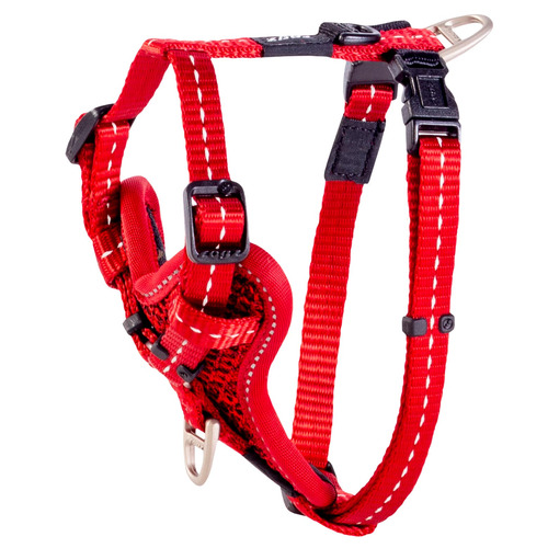 Red Control Harness | Temple & Webster