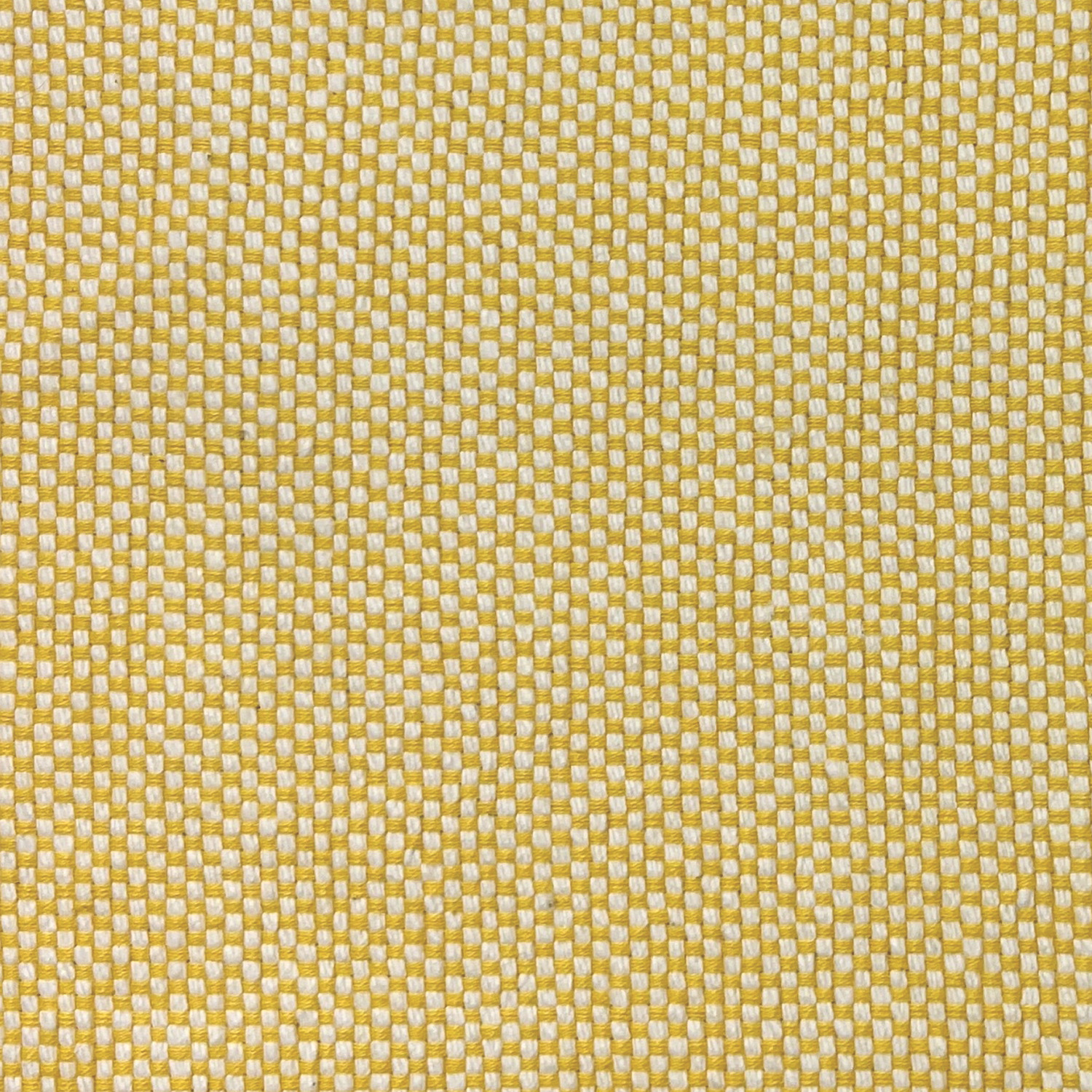 Cady Cotton Placemats