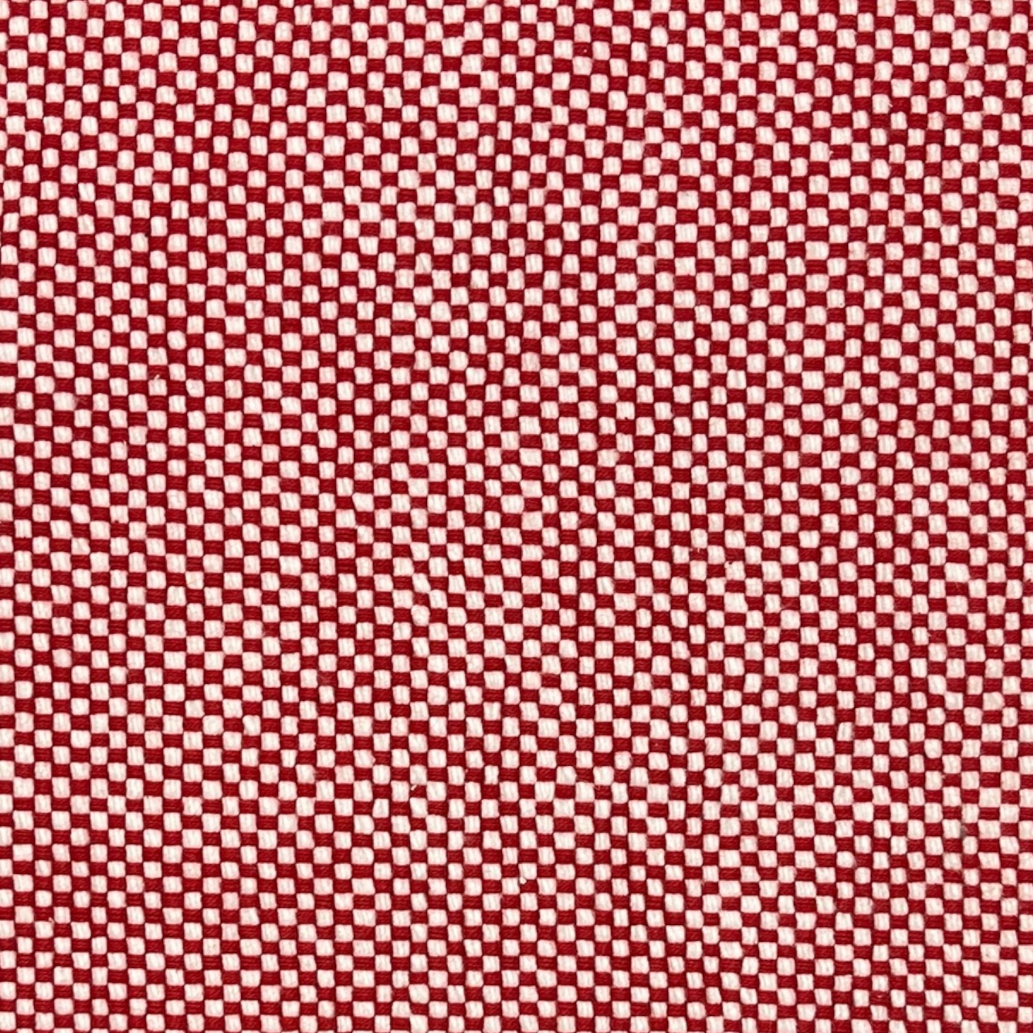 Cady Cotton Placemats