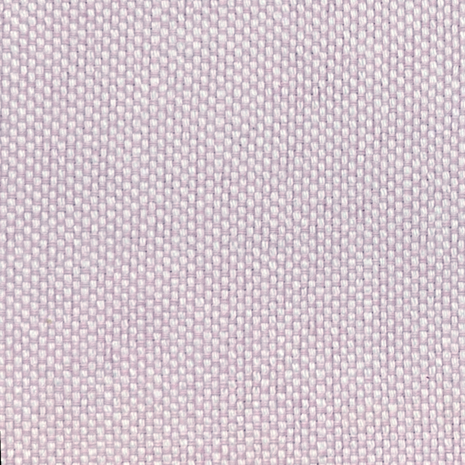 Cady Cotton Placemats
