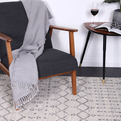 Grey Delicate Modern Rug