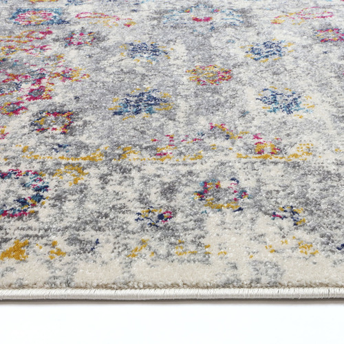 Grey Delicate Traditional Rug